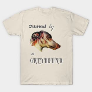 owned by a greyhound T-Shirt